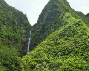 Preview wallpaper waterfall, rock, plants, stream