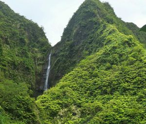 Preview wallpaper waterfall, rock, plants, stream