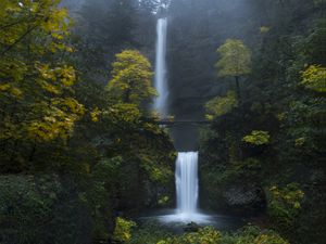 Preview wallpaper waterfall, rock, water, bridge, trees