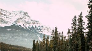 Preview wallpaper waterfall, rocks, mountains, snow, snowy