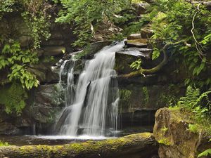 Preview wallpaper waterfall, rocks, plants, landscape