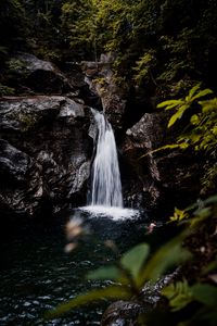 Preview wallpaper waterfall, rocks, stones, water, trees, bushes