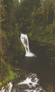 Preview wallpaper waterfall, rocks, stones, stream, moss, branches