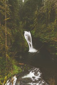 Preview wallpaper waterfall, rocks, stones, stream, moss, branches