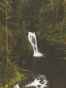 Preview wallpaper waterfall, rocks, stones, stream, moss, branches