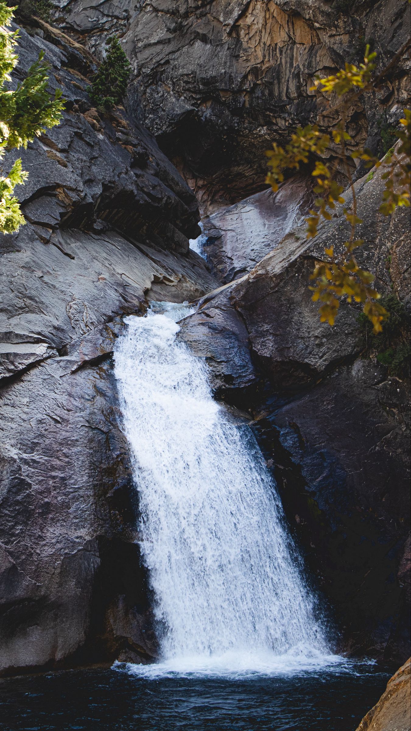 Download wallpaper 1350x2400 waterfall, rocks, stream, water, branches ...