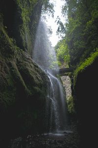Preview wallpaper waterfall, rocks, trees, vegetation, forest