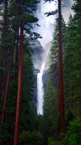 Preview wallpaper waterfall, rocks, trees, forest, nature