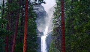 Preview wallpaper waterfall, rocks, trees, forest, nature