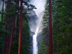 Preview wallpaper waterfall, rocks, trees, forest, nature