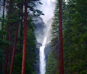 Preview wallpaper waterfall, rocks, trees, forest, nature