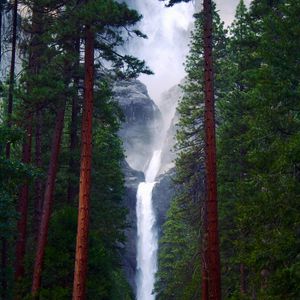 Preview wallpaper waterfall, rocks, trees, forest, nature