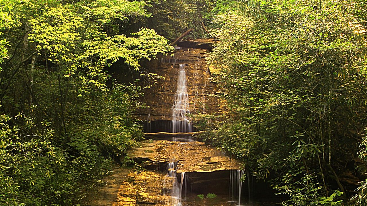 Wallpaper waterfall, rocks, trees, bushes, branches