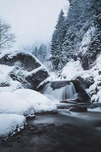 Preview wallpaper waterfall, snow, winter, trees, current