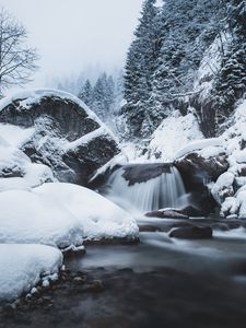 Preview wallpaper waterfall, snow, winter, trees, current
