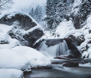 Preview wallpaper waterfall, snow, winter, trees, current