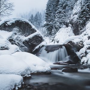 Preview wallpaper waterfall, snow, winter, trees, current