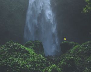 Preview wallpaper waterfall, solitude, loneliness, landscape