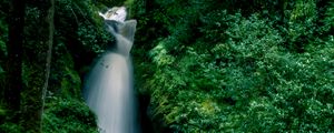 Preview wallpaper waterfall, splashes, stones, grass, moss