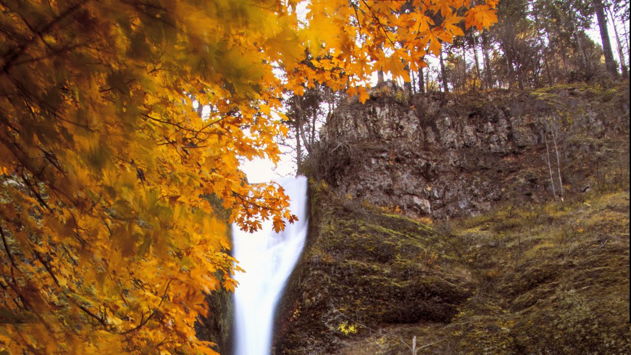 Wallpaper waterfall, splashes, trees, autumn, long exposure, nature