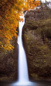 Preview wallpaper waterfall, splashes, trees, autumn, long exposure, nature