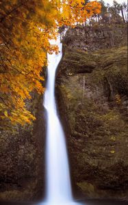 Preview wallpaper waterfall, splashes, trees, autumn, long exposure, nature