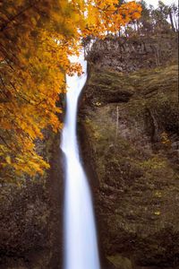 Preview wallpaper waterfall, splashes, trees, autumn, long exposure, nature