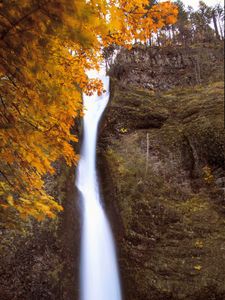 Preview wallpaper waterfall, splashes, trees, autumn, long exposure, nature