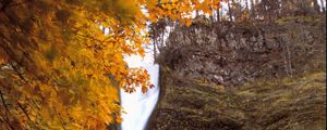 Preview wallpaper waterfall, splashes, trees, autumn, long exposure, nature