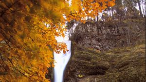 Preview wallpaper waterfall, splashes, trees, autumn, long exposure, nature