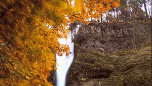 Preview wallpaper waterfall, splashes, trees, autumn, long exposure, nature