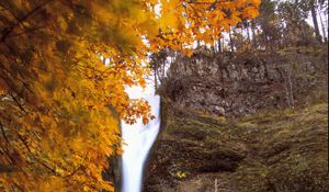 Preview wallpaper waterfall, splashes, trees, autumn, long exposure, nature