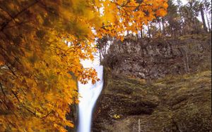 Preview wallpaper waterfall, splashes, trees, autumn, long exposure, nature