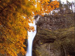 Preview wallpaper waterfall, splashes, trees, autumn, long exposure, nature