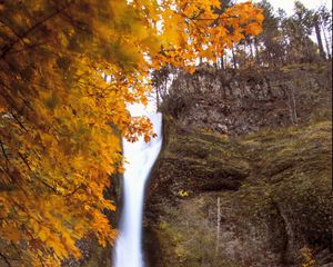 Preview wallpaper waterfall, splashes, trees, autumn, long exposure, nature