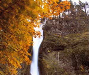 Preview wallpaper waterfall, splashes, trees, autumn, long exposure, nature