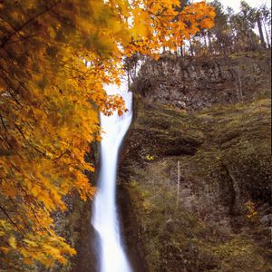 Preview wallpaper waterfall, splashes, trees, autumn, long exposure, nature