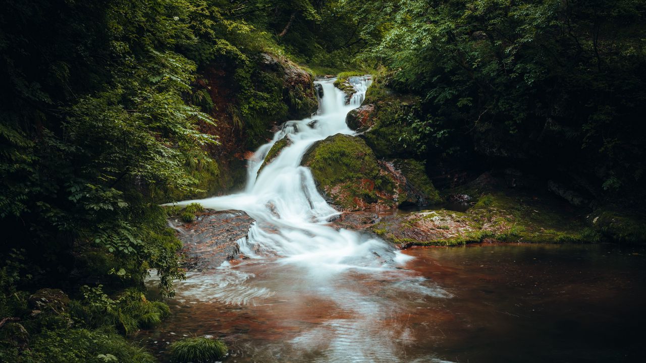 Wallpaper waterfall, stones, bushes, branches, leaves, landscape