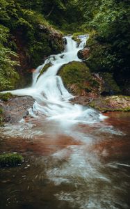 Preview wallpaper waterfall, stones, bushes, branches, leaves, landscape