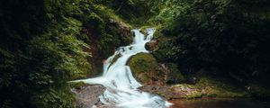 Preview wallpaper waterfall, stones, bushes, branches, leaves, landscape