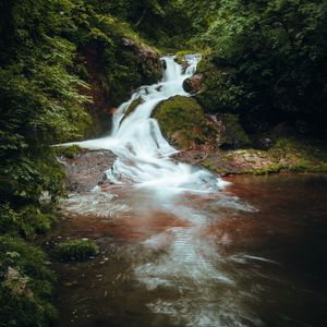 Preview wallpaper waterfall, stones, bushes, branches, leaves, landscape