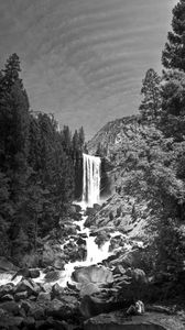 Preview wallpaper waterfall, stones, cliff, trees, black and white