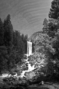 Preview wallpaper waterfall, stones, cliff, trees, black and white