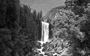 Preview wallpaper waterfall, stones, cliff, trees, black and white