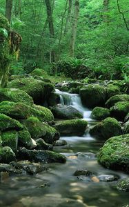 Preview wallpaper waterfall, stones, flow, moss