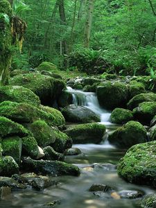 Preview wallpaper waterfall, stones, flow, moss