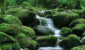 Preview wallpaper waterfall, stones, flow, moss