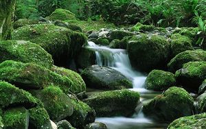 Preview wallpaper waterfall, stones, flow, moss