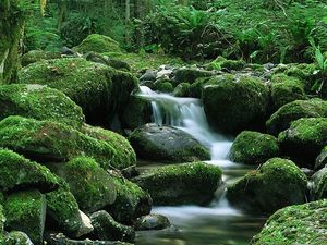 Preview wallpaper waterfall, stones, flow, moss