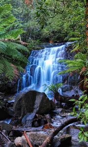 Preview wallpaper waterfall, stones, forest, moss